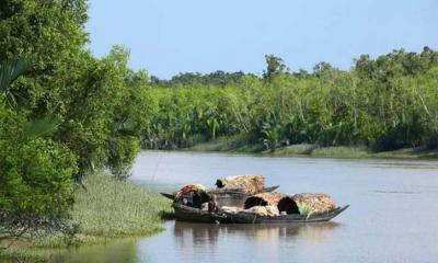 সুন্দরবনে বনদস্যুর হাতে জিম্মি ২ জেলে, মুক্তিপণ দিয়ে ফিরেছেন ৩ জন