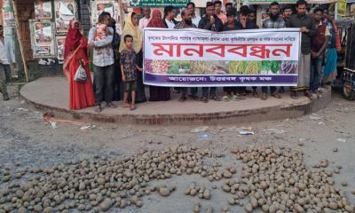 নায্য মূল্যের দাবিতে সড়কে আলু ফেলে কৃষকদের মানববন্ধন