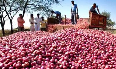 অবশেষে ভারত থেকে পেঁয়াজ আমদানি শুরু