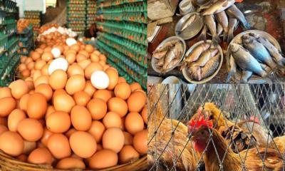 মাছ-মুরগির বাজার স্থিতিশীল, কমেছে ডিমের দাম