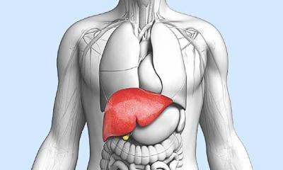 যে এক খাবারে আপনার লিভার নষ্ট হচ্ছে, সেটি কী?