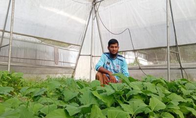 আধুনিক পদ্ধতিতে কৃষি: স্থানীয় কৃষকদের অনুপ্রেরণার নাম নিলয় 