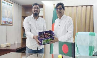 আঙ্গুর চাষে সাফল্য: কৃষিমন্ত্রীর হাতে সীডলেস আঙ্গুর তুলে দিলেন রুহুল আমিন