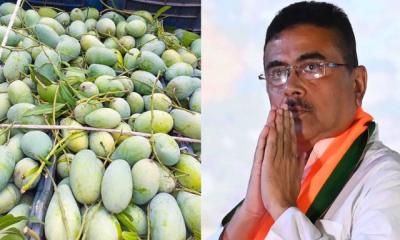মুখ্যমন্ত্রী শুভেন্দুর জন্য ৫০০ কেজি আম পাঠালো বাংলাদেশ সরকার