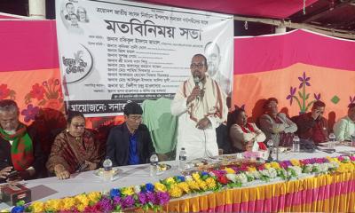 ‘বাংলাদেশে টাকার বস্তা এসেছে, শিগগিরই টাকার খেলায় নামবে’