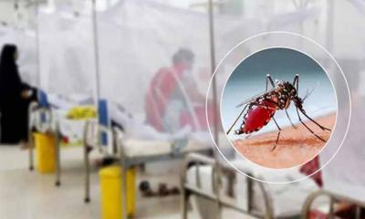 ডেঙ্গুতে হাসপাতালে ভর্তি ৭০ হাজার ছাড়িয়েছে, মৃত্যু ২৭৮
