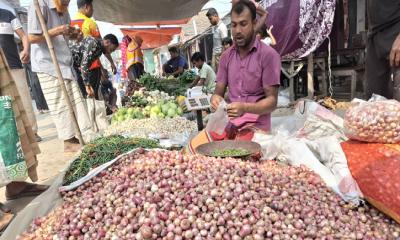 ভালো ফলনেও দাম নেই, দিশেহারা ঈশ্বরদীর পেঁয়াজ চাষিরা