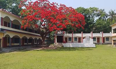 আগুনঝরা রঙে কৃষ্ণচূড়া, গ্রীষ্মের সৌন্দর্যে মুগ্ধ নড়াইলের জনপদ