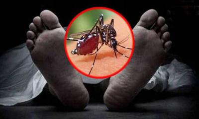 ডেঙ্গুতে মৃতদের অর্ধেকই তরুণ, যা বলছেন বিশেষজ্ঞরা