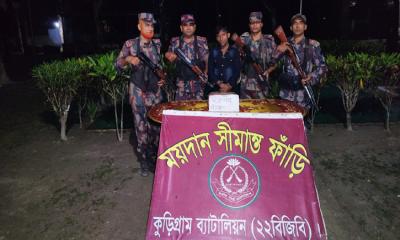 সীমান্তে ১৩ লাখ টাকার ভারতীয় পণ্য জব্দ, গ্রেপ্তার ১