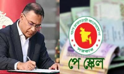 তারেক রহমানের দিকে তাকিয়ে ২২ লাখ সরকারি কর্মচারী