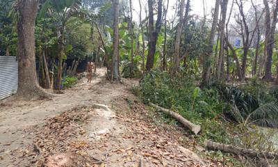 মাদারীপুরে আ.লীগ নেতার জমি দখল করে জোড়পূর্বক রাস্তা নির্মাণের অভিযোগ