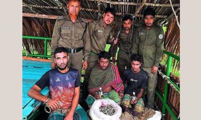 বিপন্ন সুন্দরবন: বিষ প্রয়োগে মাছ শিকার, ধরা পড়ল বনদস্যুরা