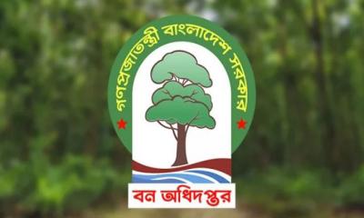 দুর্নীতি করলে শাস্তি নয়, বরং পদোন্নতি, অনিয়মেও ‘ওপেন সিক্রেট’