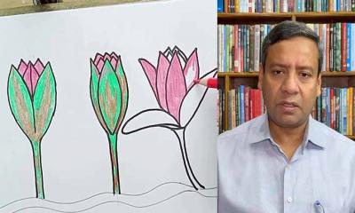 শাপলা যখন দিবেনি একটু ফুটাইয়া দিলে ক্ষতি কী!