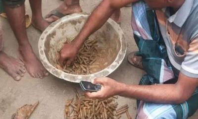 নওগাঁয় মাঠ থেকে ৩২৫ রাউন্ড গুলি উদ্ধার