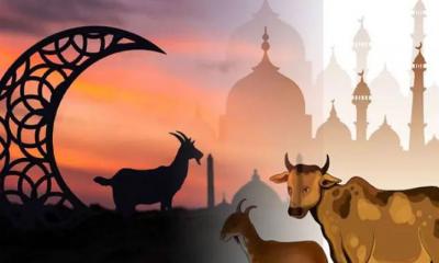 কোরবানির সংক্ষিপ্ত ইতিহাস ও শিক্ষা: ত্যাগের মহিমা
