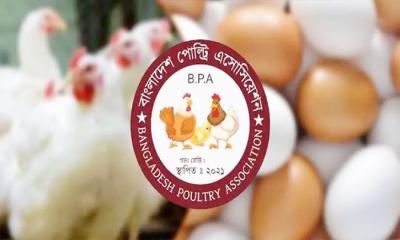 দেশজুড়ে ১ মে থেকে ডিম-মুরগির খামার বন্ধ ঘোষণা
