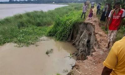আড়িয়াল খাঁ নদে ফের তীব্র ভাঙন, ঝুঁকিতে বেড়িবাঁধ-সড়ক