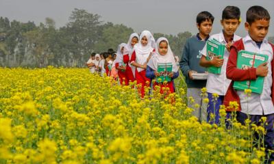 বই উৎসবে বই পায়নি দুই শতাধিক স্কুল