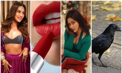 নুসরাত ফারিয়ার মার্কা লিপিস্টিক, ভাবনার  ‘কাক’