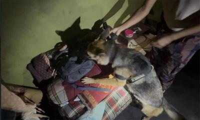 ‍‍`কুকুর‍‍` ধরলো রাজমিস্ত্রীর ইয়াবা