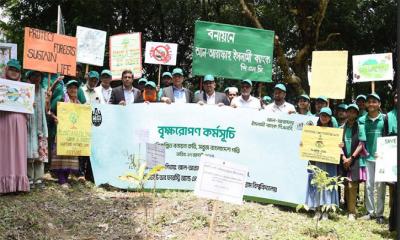 চবিতে আল-আরাফাহ্ ইসলামী ব্যাংকের বৃক্ষরোপন 