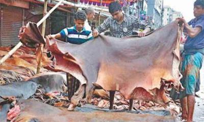 কোরবানির পশুর চামড়ার দাম নির্ধারণ আজ