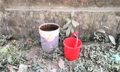 চাঁপাইনবাবগঞ্জে ককটেল বিস্ফোরণে আহত ২, অবিস্ফোরিত ১১টি উদ্ধার