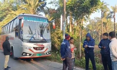 জীবননগরে সড়কে গাছ ফেলে বাসে ডাকাতি