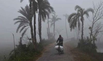 শৈত্যপ্রবাহ নিয়ে যা জানা গেল