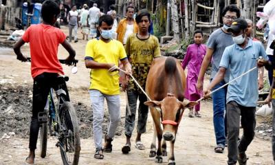 অর্থনীতির চাকায় গতি সঞ্চার করে কোরবানি