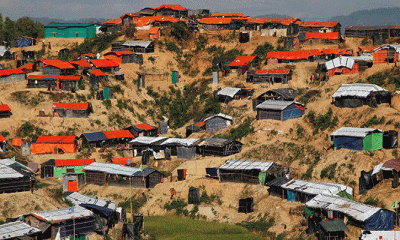 কক্সবাজারে ১২ হাজার একর বনভূমি ধ্বংস করেছে রোহিঙ্গারা