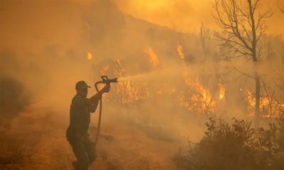 বজ্রপাত থেকে ভয়াবহ দাবানল, কাজাখস্তানে নিহত ১৪