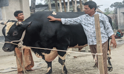 ‘দিনাজপুরের রাজা’র দাম ১২ লাখ টাকা