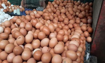 ভারত থেকে ৪ কোটি ডিম আমদানির অনুমোদন