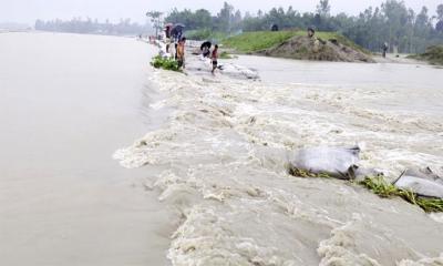 দেশের ১৬ জেলায় বন্যার আভাস