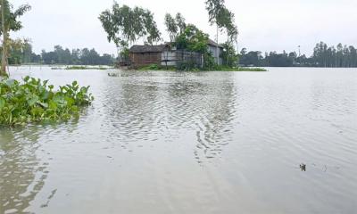 বন্যার ঝুঁকিতে দেশের ১০ জেলা