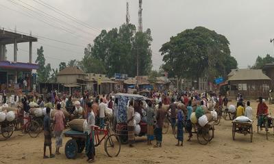 বৃহত্তর ময়মনসিংহে সবচেয়ে বড় লেবুর বাজার এনায়েতপুরে