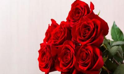 ভালোবাসার মানুষকে আজ গোলাপ দেওয়ার দিন