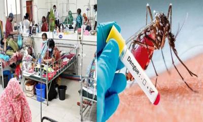 একদিনে হাম উপসর্গ আর ডেঙ্গুতে প্রাণ গেল ১৭ জনের