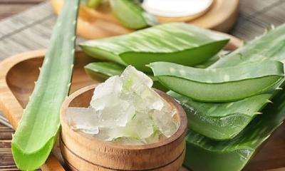 চুলের বৃদ্ধি বাড়ানোর নানা উপায়