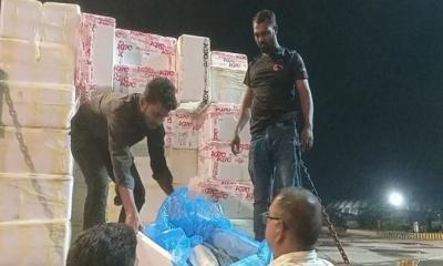 প্রথম চালানে ভারতে গেল ৩৭ মেট্রিক টন ইলিশ
