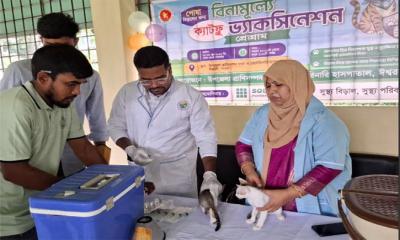 ঈশ্বরদীতে বিড়ালের ফ্রি ক্যাটফ্লু ভ্যাকসিন প্রদান শুরু