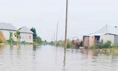ফের বেড়েছে পদ্মার পানি, বিপাকে ১৫টি চরের মানুষ