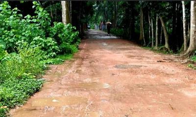 বেহাল দশা সিকদারহাট-ভাণ্ডারিয়া সড়ক, দুর্ভোগে ২০ হাজার মানুষ