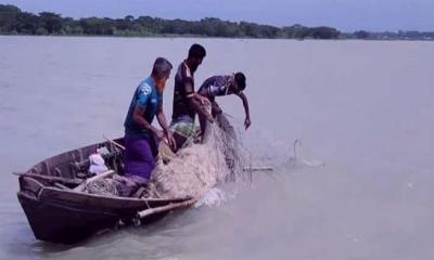 ইলিশ ধরায় নিষেধাজ্ঞা: ঝালকাঠিতে চাল পাননি ৩২৯৪ জেলে