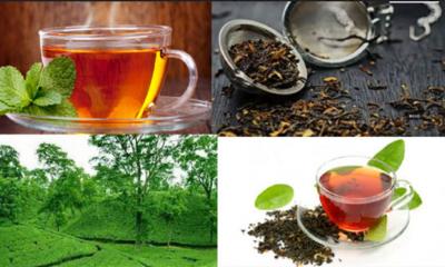 এক পলকে জেনে নিন বহুমাত্রিক গুণেভরা চা-পাতা  