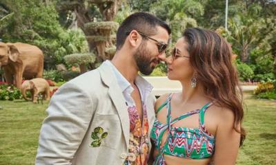 শহিদ কাপূরের বিলাসবহুল ভ্রমণের তালিকা ফাঁস!