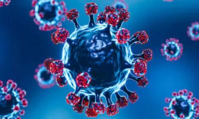 ভয়ংকর রূপে ফিরেছে করোনা, ভারত ভ্রমণে বিশেষ সতর্কতা